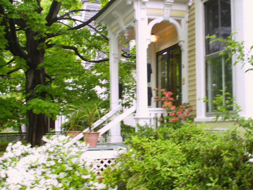 Parkside On Ellery Cambridge Exterior foto