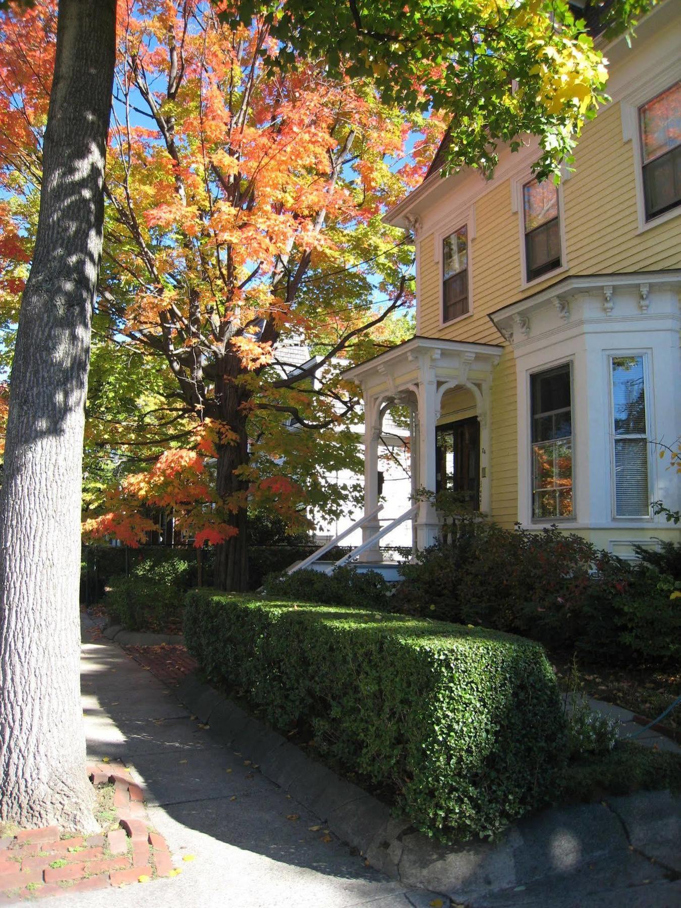 Parkside On Ellery Cambridge Exterior foto