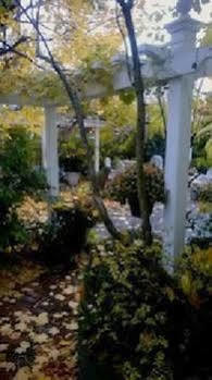 Parkside On Ellery Cambridge Exterior foto